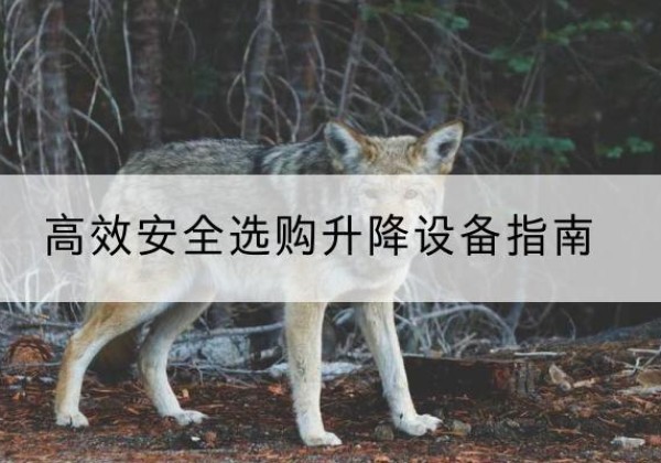 鼎城升降货梯厂家推荐-*安全选购升降设备指南