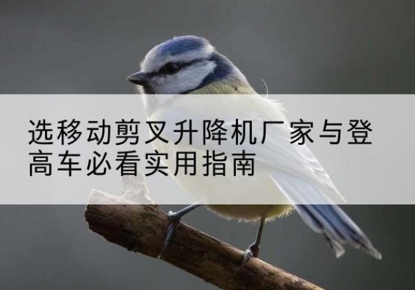 鼎城电动升降机厂家-选移动剪叉升降机厂家与登高车必看实用指南