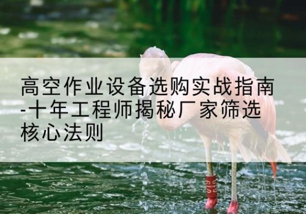 鼎城剪叉式升降机厂家-高空作业设备选购实战指南-十年工程师揭秘厂家筛选核心法则