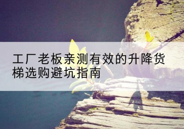 鼎城升降货梯怎么选-工厂老板亲测有效的升降货梯选购避坑指南